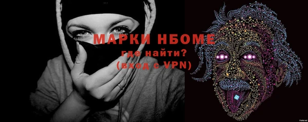 хмурый Алзамай