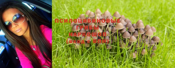 хмурый Алзамай