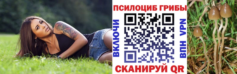 Галлюциногенные грибы мицелий купить наркотики сайты Дубовка